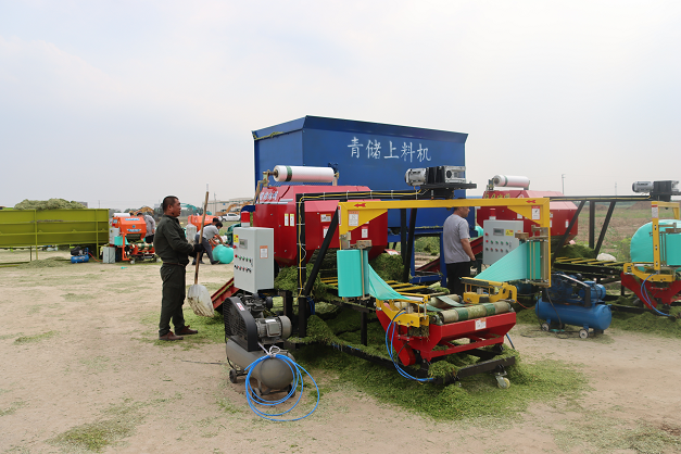 IMG_0240.png